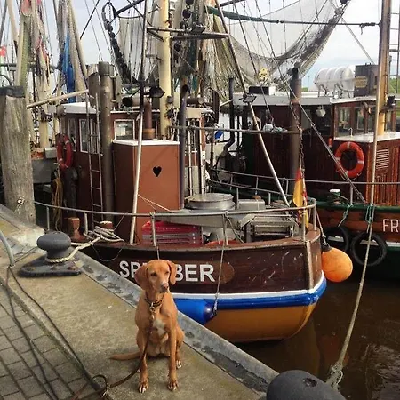 Haus-frisia