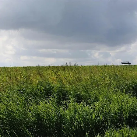 Haus-frisia *